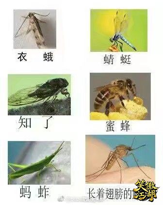 689296099 - 副本.jpeg