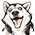 二哈