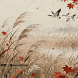 白露.gif
