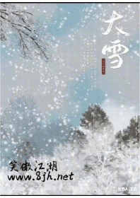 大雪.gif