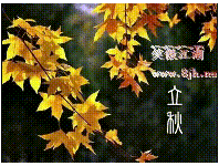 立秋.gif