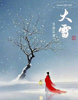 新大雪大.gif
