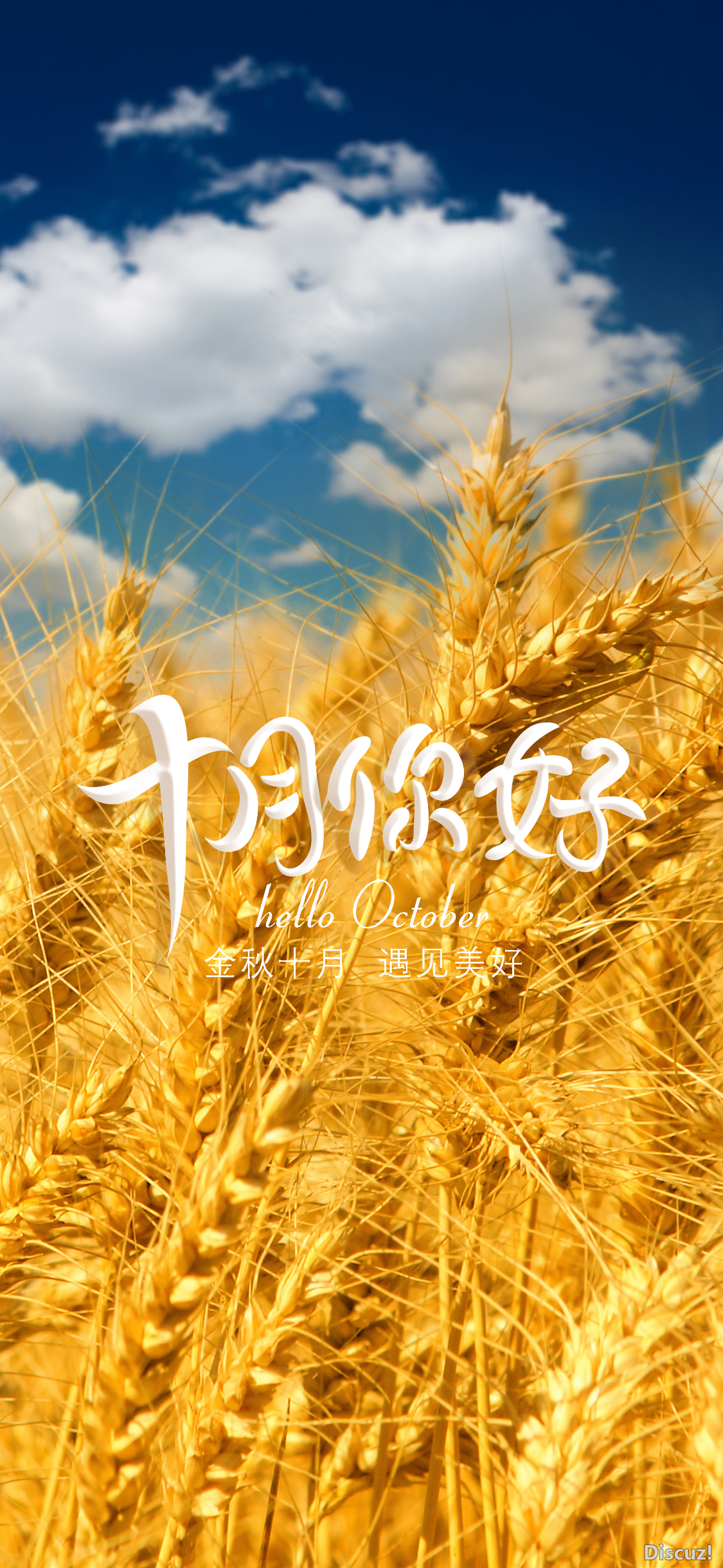 9a128fe1e5c55e6299483233abd3ee65.png