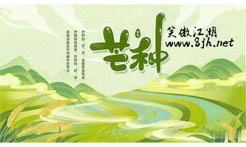 芒种至，盛夏始。有收有种，自在从容。