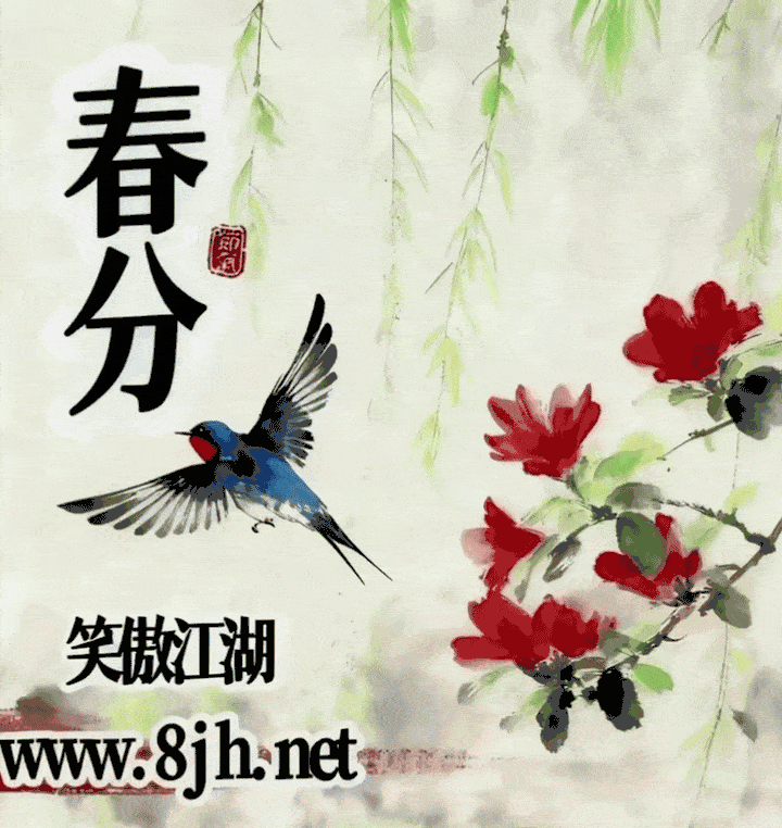 IMG_6608.GIF